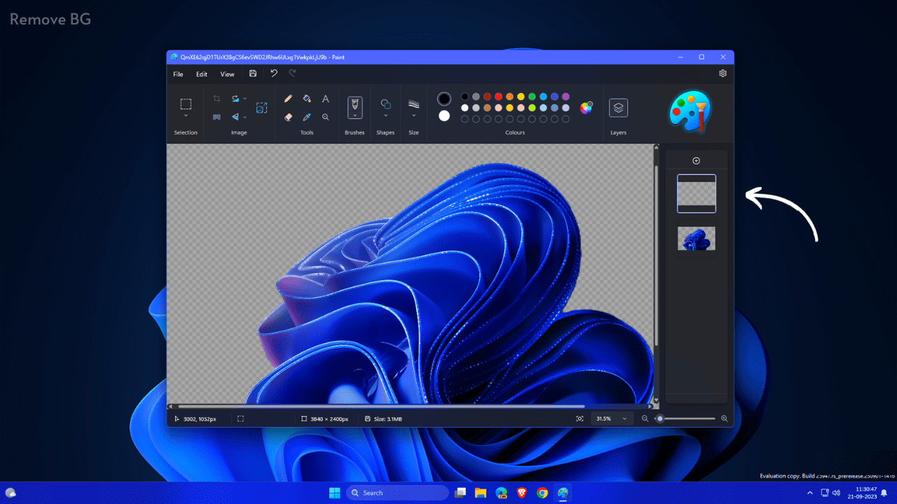 Remove BG (Background) from any Image Without Software (2024)